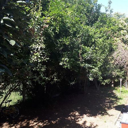 La Casa Di Mango E Pistacchio Otel Segrate Dış mekan fotoğraf