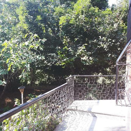 La Casa Di Mango E Pistacchio Otel Segrate Dış mekan fotoğraf